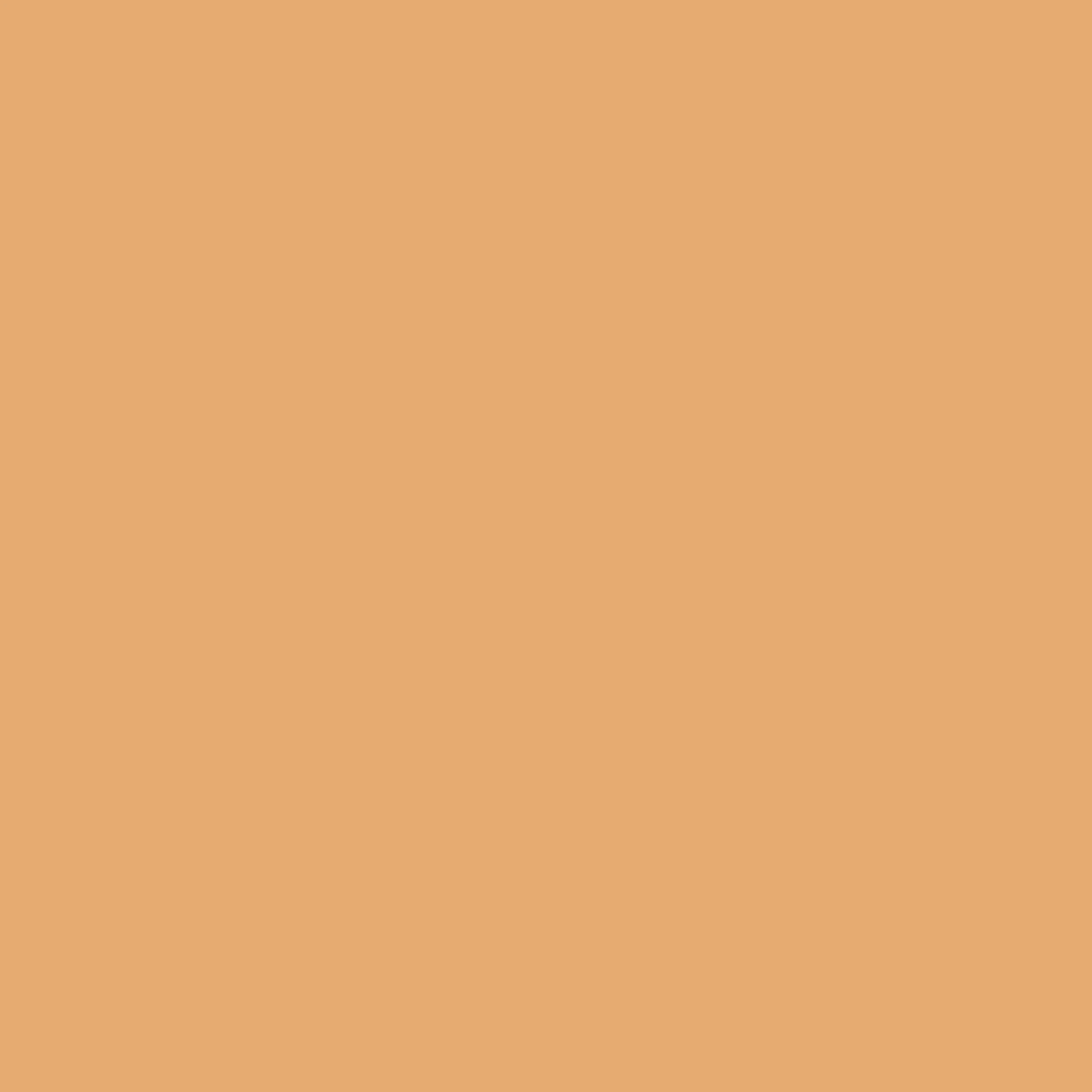 Fawn-background-image.webp